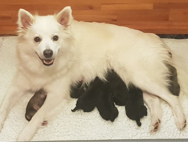 Klick zum vergrößern