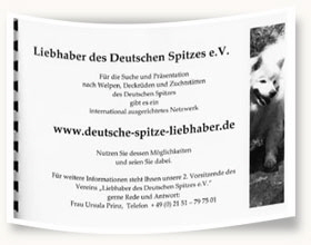 Anzeige-im-schweizer-Katalog