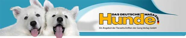 Banner-Deutsches-Hundemagazin
