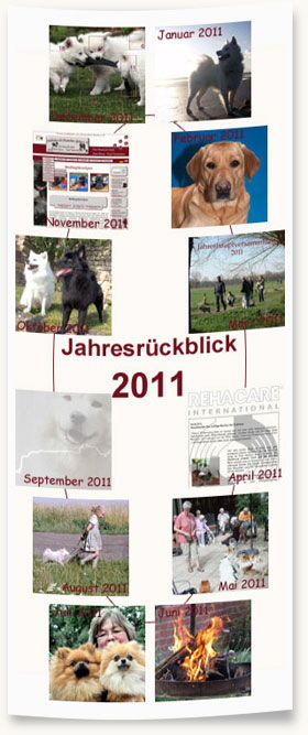 Rückblick-2011