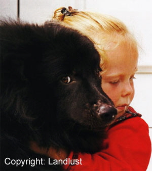 Der-Schatten-an-Herrchens-Seite