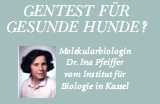 Dr.-Ina-Pfeiffer